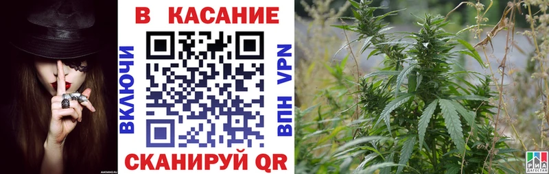 Цена Лебедянь Псилоцибиновые грибы Меф Канабис