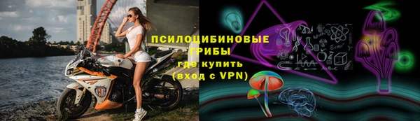 стафф Алексин