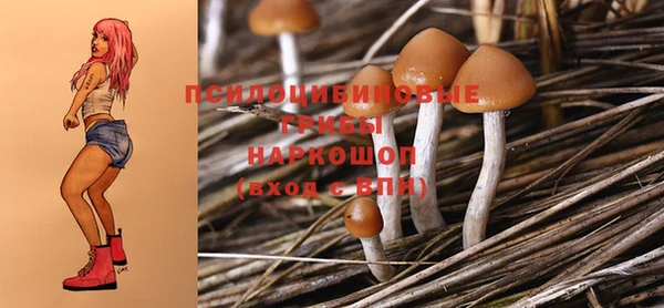 2c-b Переславль-Залесский