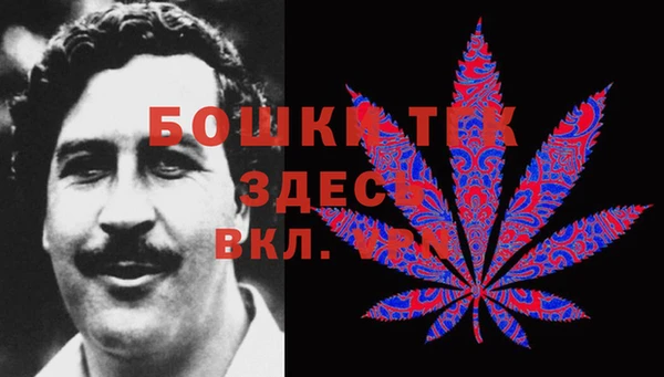 стафф Алексин