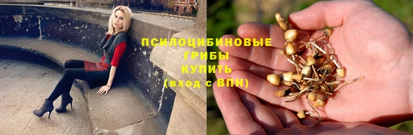 стафф Алексин