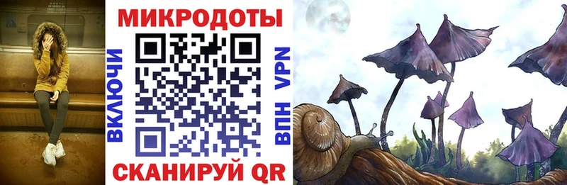 купить   мориарти клад  Псилоцибиновые грибы прущие грибы  Лебедянь 